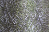 Penknap fibreglass roof work